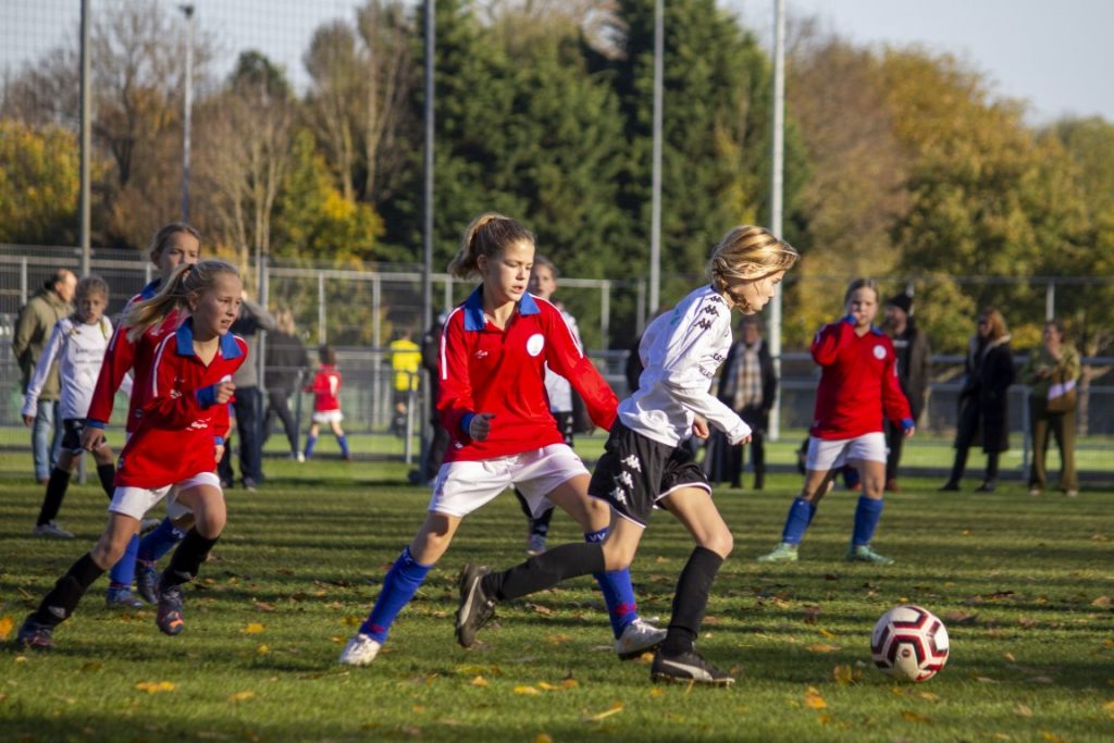 ASHW MO11-1 - VVGZ MO11-1 10