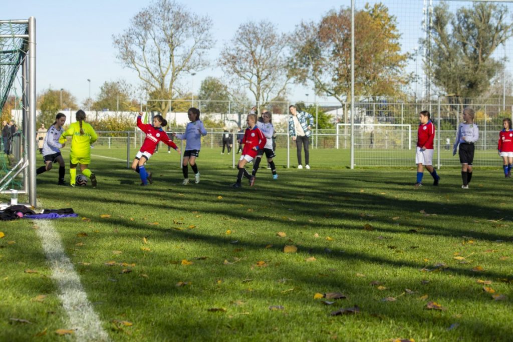 ASHW MO11-1 - VVGZ MO11-1 18