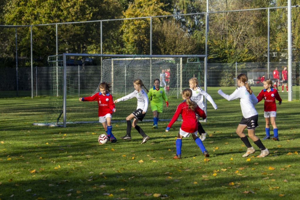 ASHW MO11-1 - VVGZ MO11-1 24