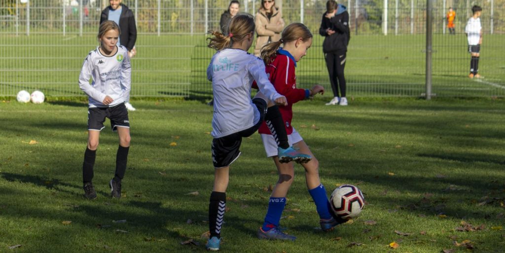 ASHW MO11-1 - VVGZ MO11-1 27