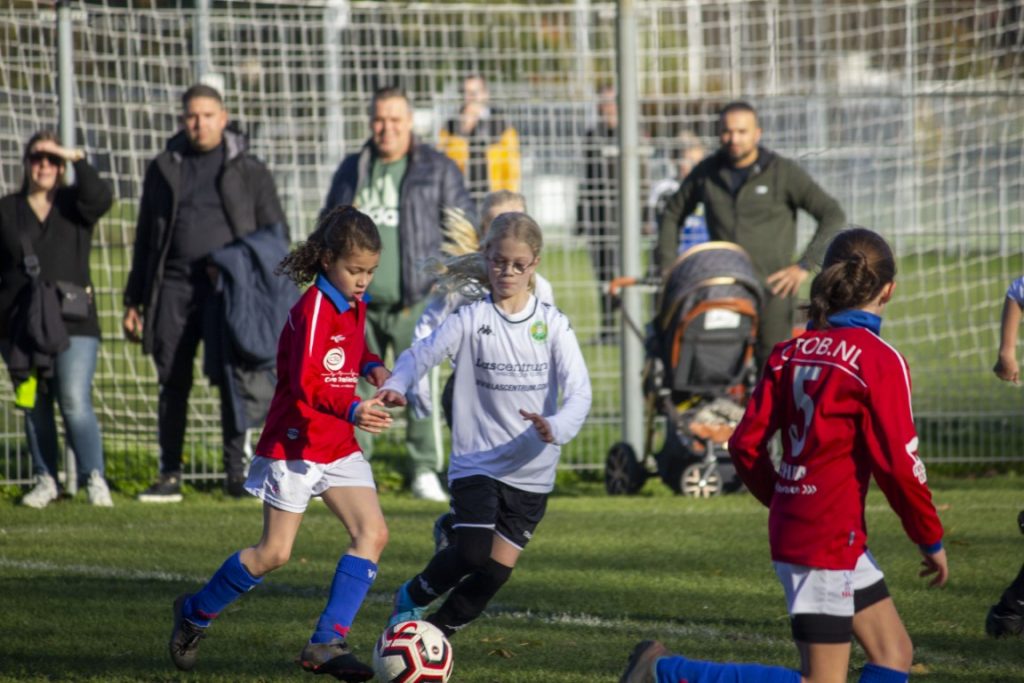 ASHW MO11-1 - VVGZ MO11-1 32